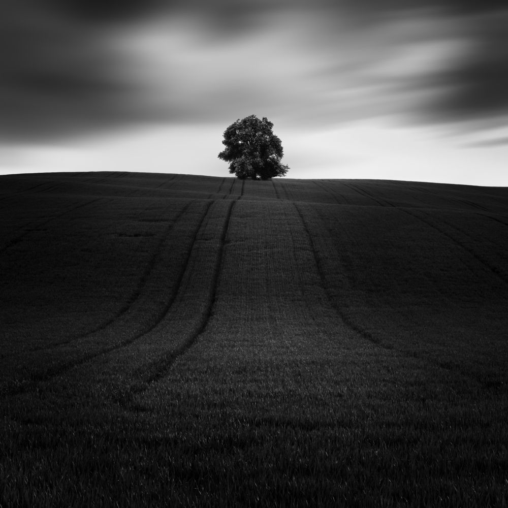 Photograph by Mário