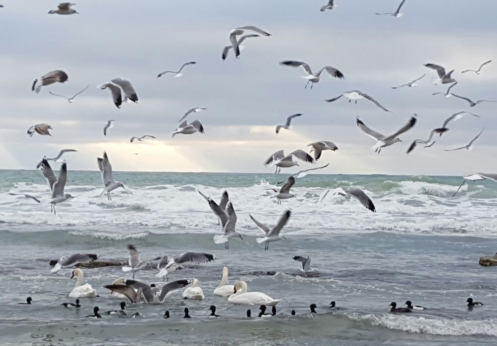 Photograph by Гюзель