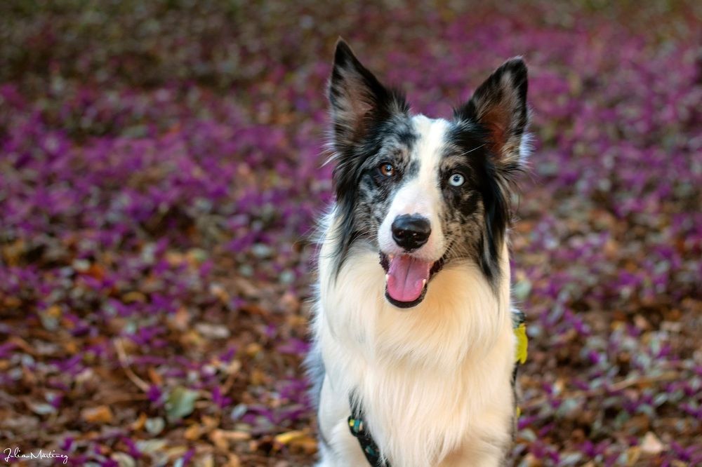 Photograph by Julião Freitas Martinez