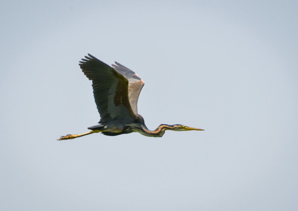 Photograph by Борис Пирог