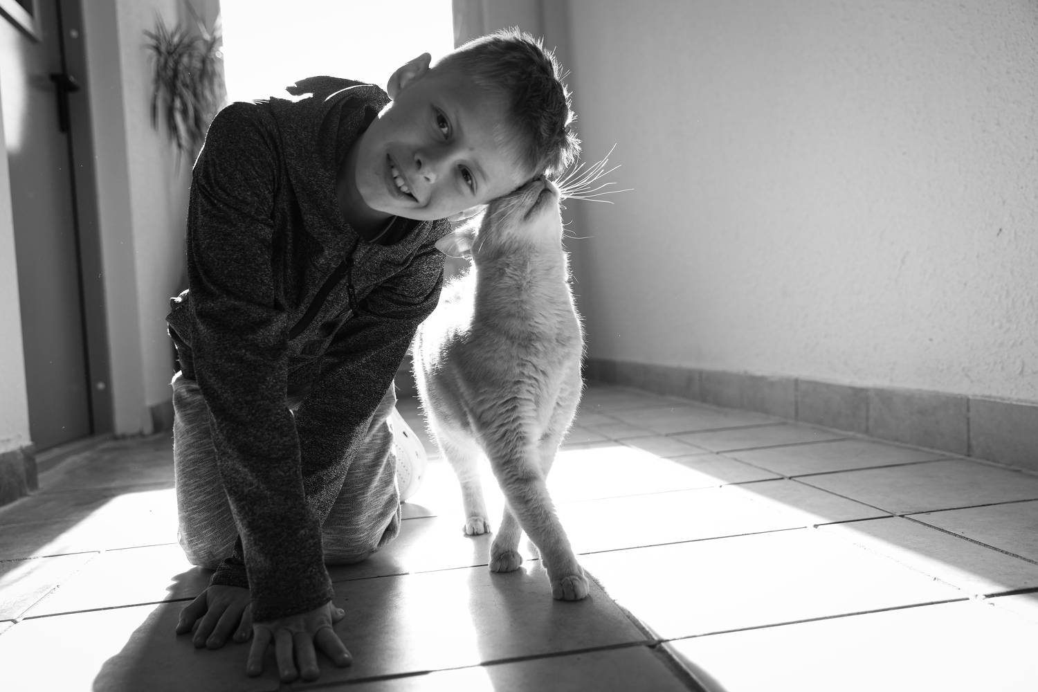 Photo #7683663