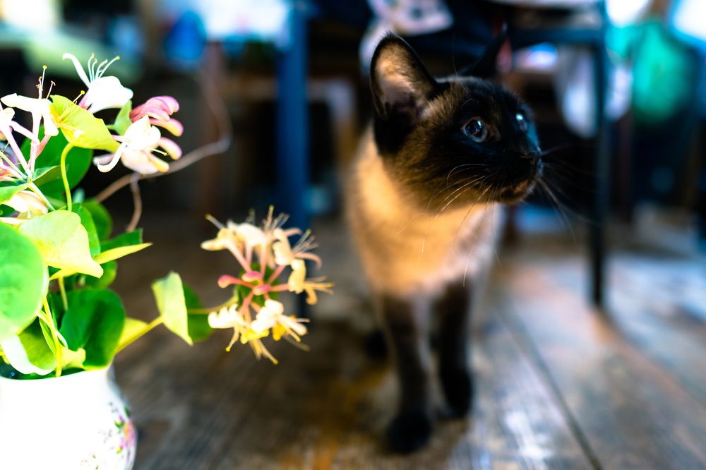 Photograph by Галина Аскольдовна Луковникова