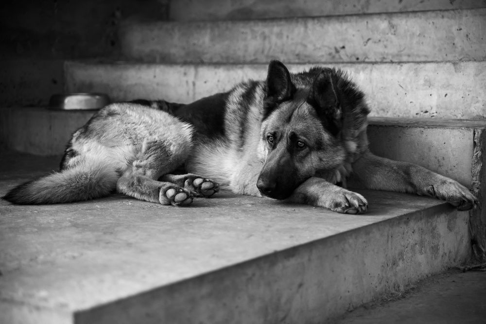 Photograph by Ирина Никифорова