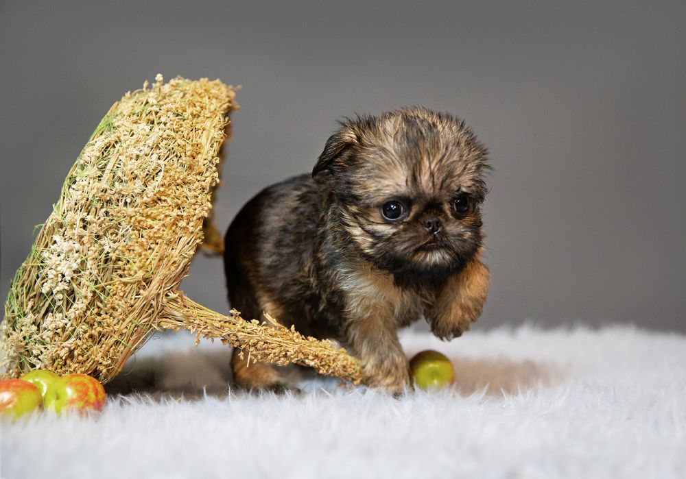 Photograph by Елена Вьюркова