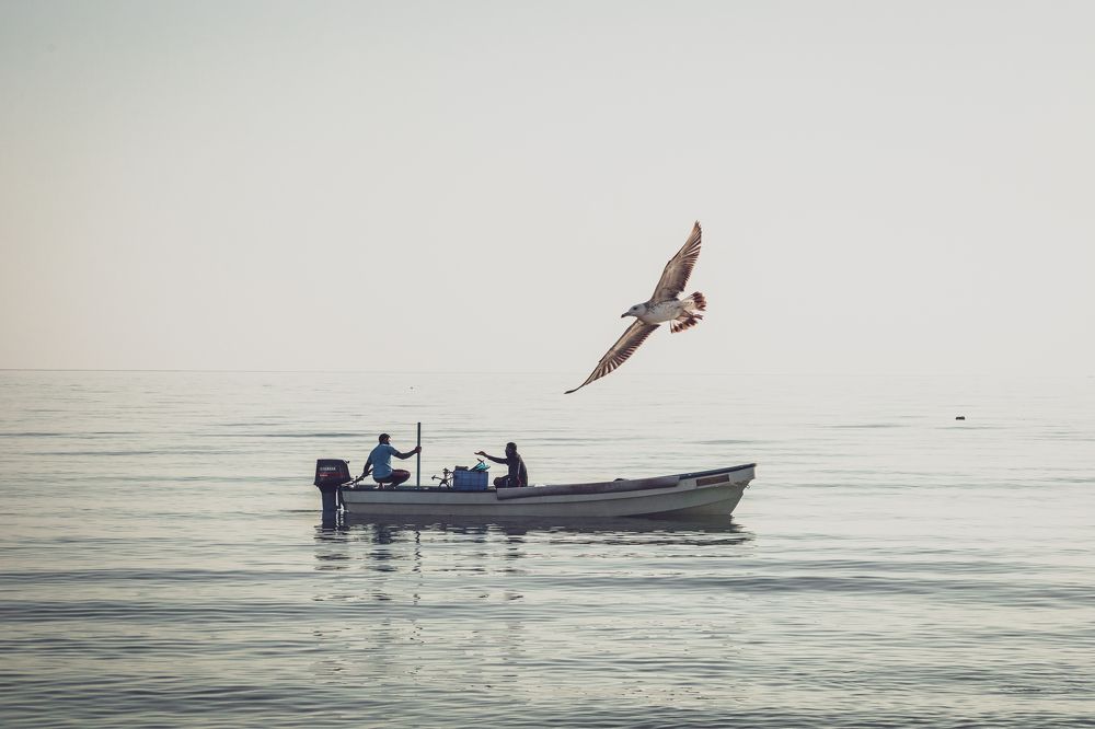 Photograph by Faris Hamza