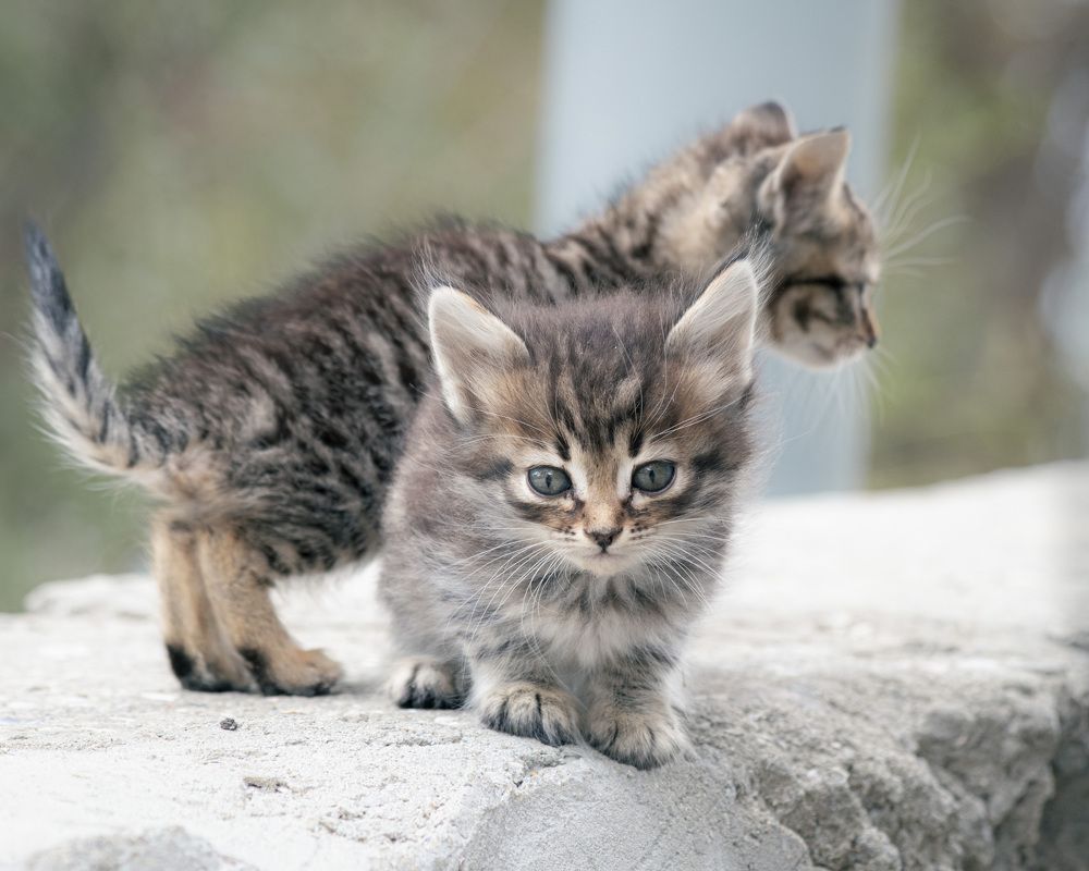 Photograph by Владимир Баранов