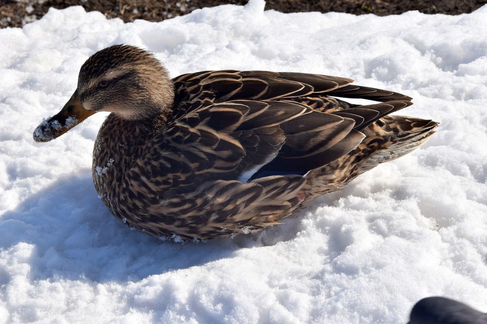 После моциона