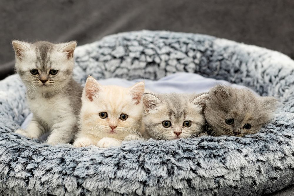 Photograph by Galina Samoylovich