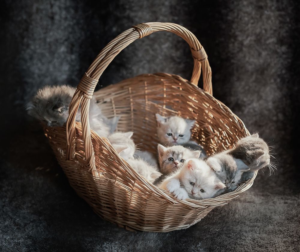 Photograph by Galina Samoylovich