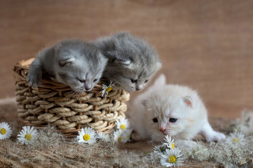 Photograph by Galina Samoylovich