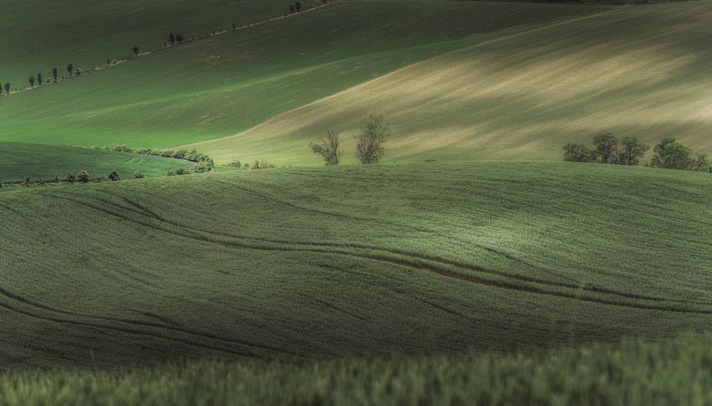 Photograph by Budyta Dariusz