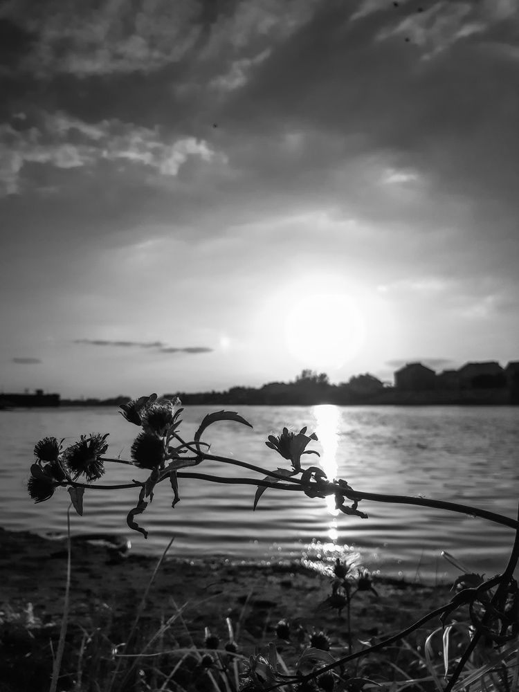 Photograph by Марина Шаповаленко