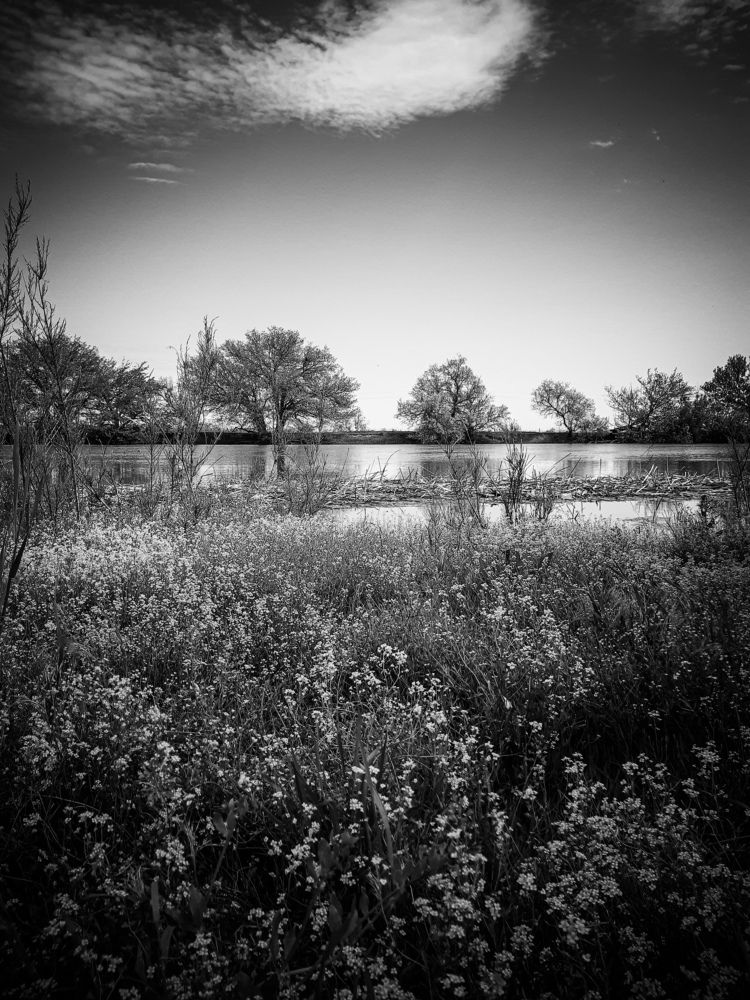 Photograph by Марина Шаповаленко