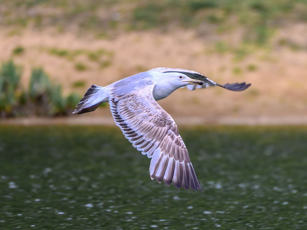 Photograph by Вячеслав Белов