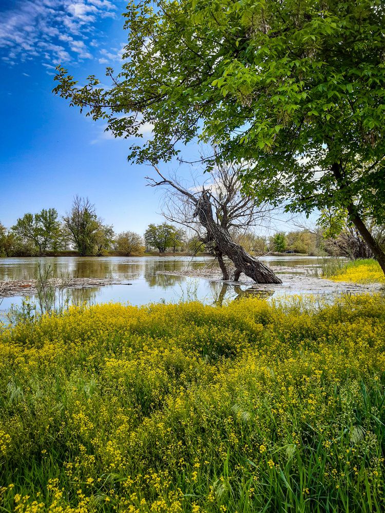 Photograph by Марина Шаповаленко