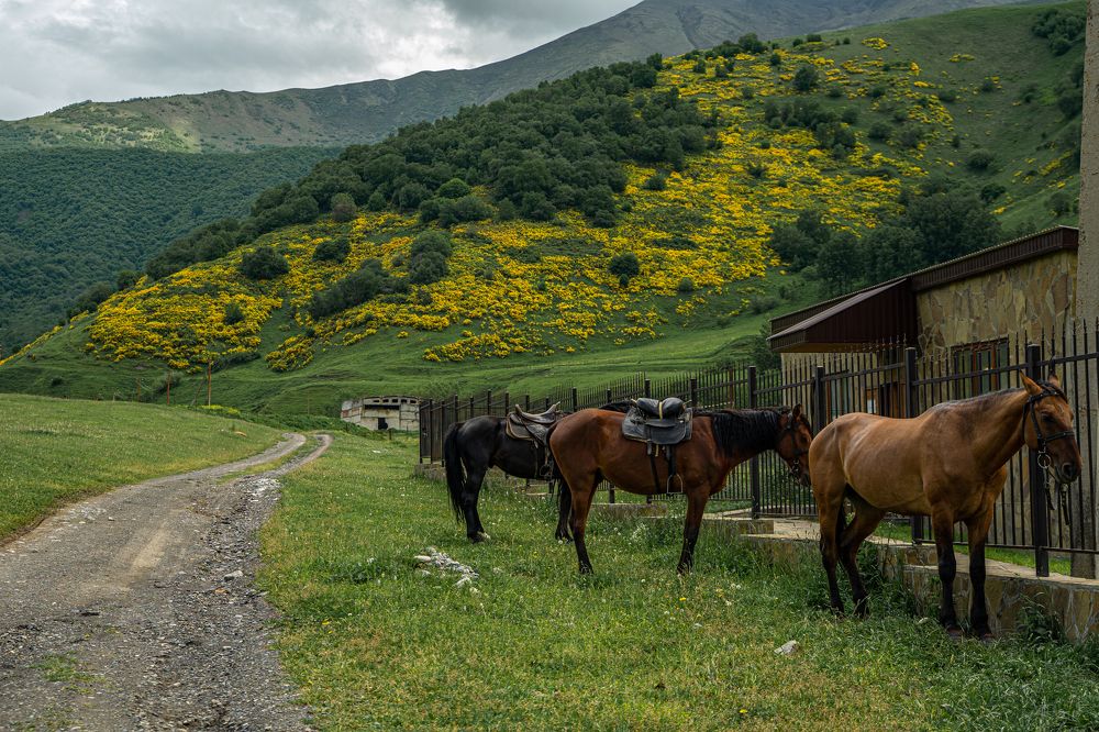 Photograph by Ксения Илюшина