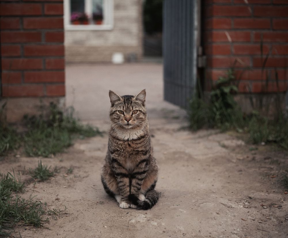 Photograph by Алена Полетаева