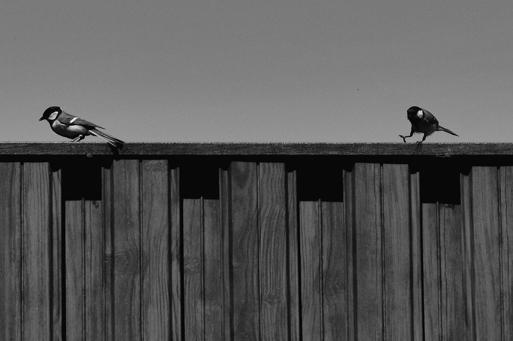 Теряя равновесие