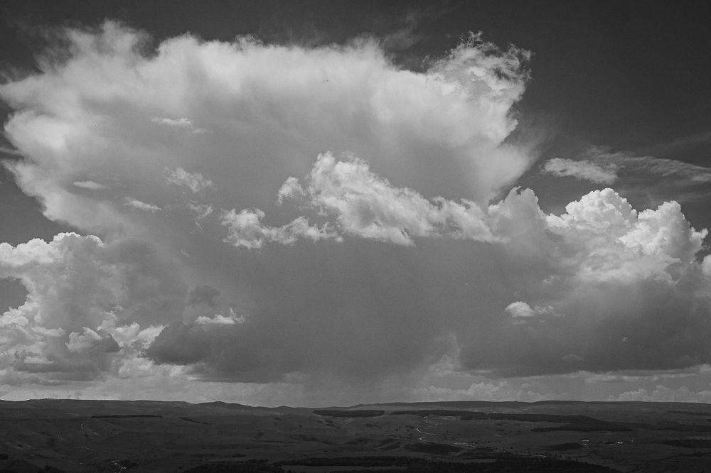 Фотография автора Елена Кедрова