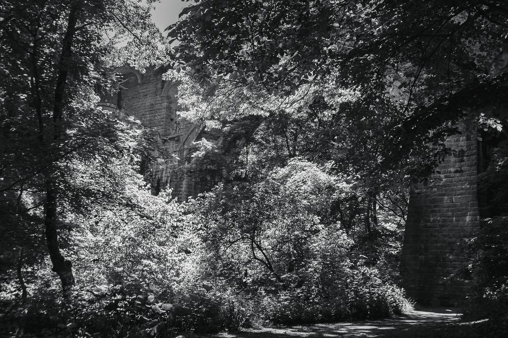 Заброшен в лесу