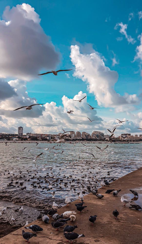 Photograph by Катерина Мурсынина