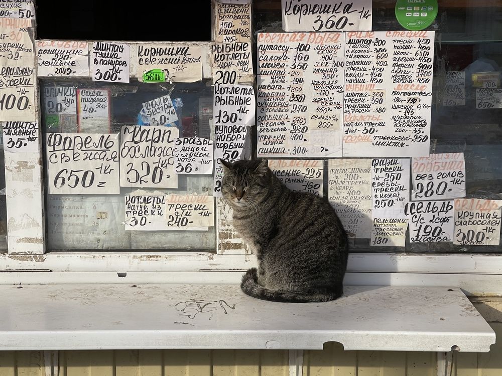 Photograph by Григорий Лыжин