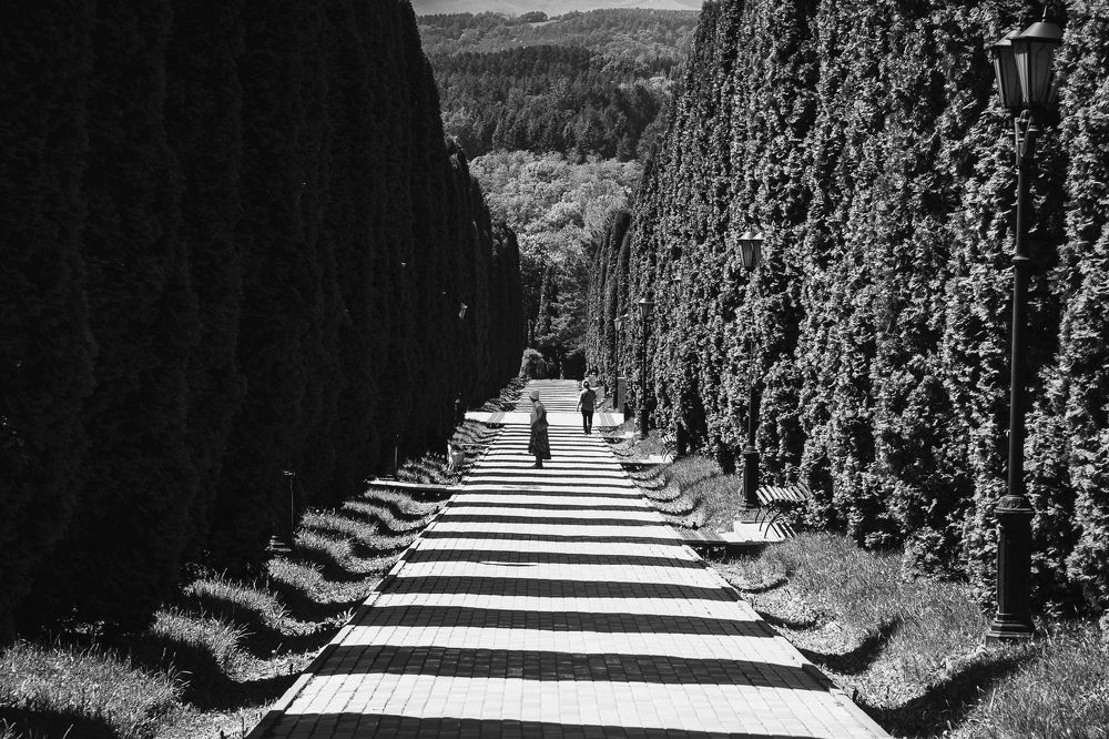 Фотография автора Елена Кедрова