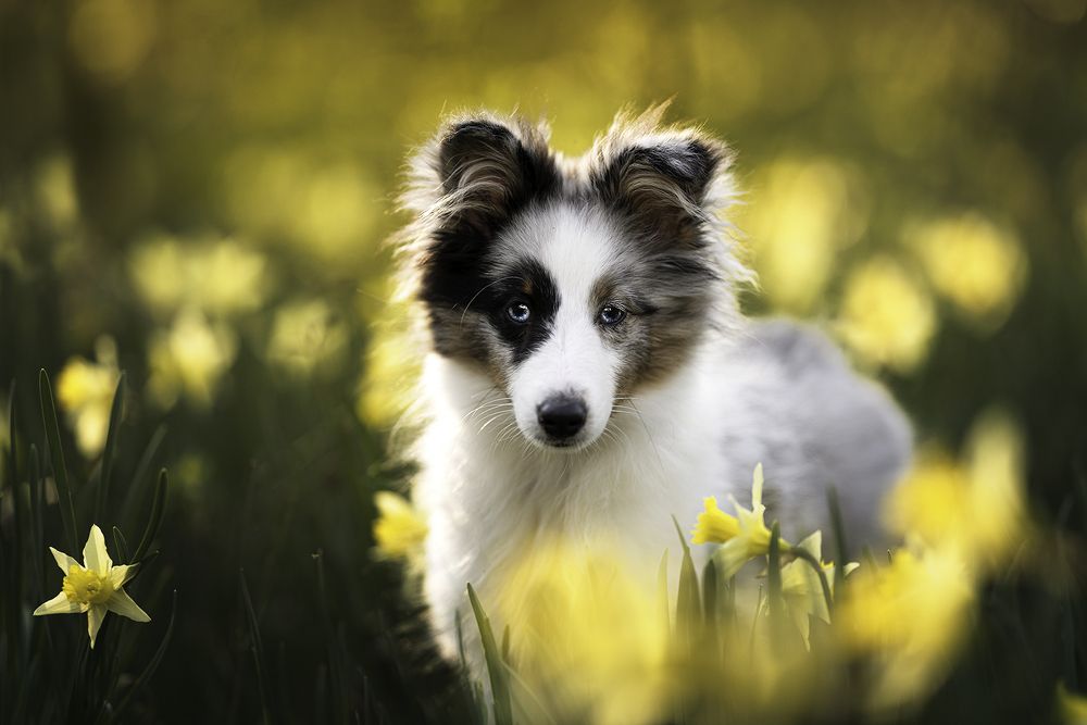 Photograph by Laura Petermans