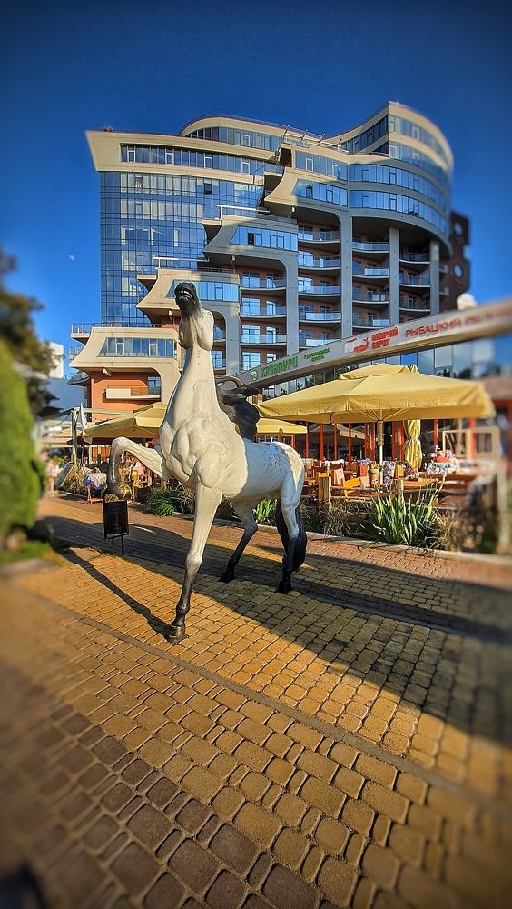 Photograph by Катерина Мурсынина