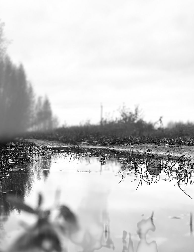 Photograph by Григорий Лыжин