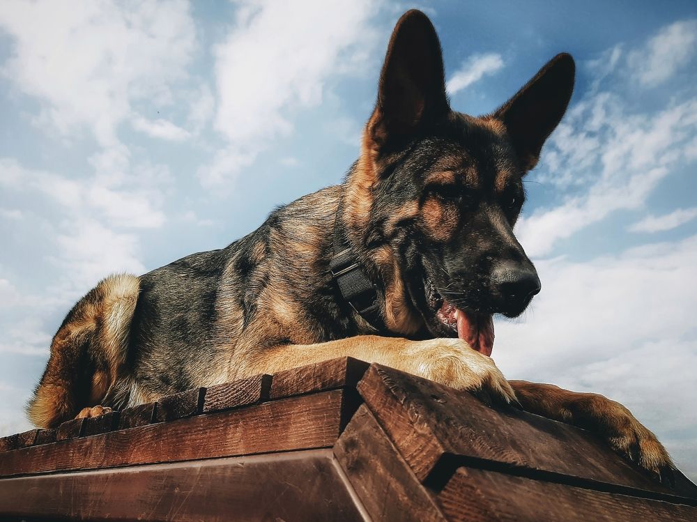 Photograph by Оксана Борисевич