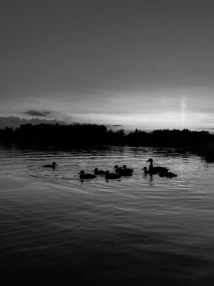 Photograph by Вера Рудик