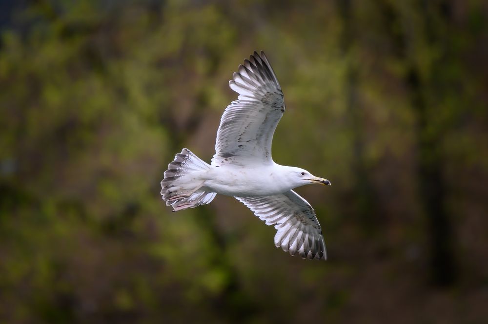 Photograph by Вячеслав Белов