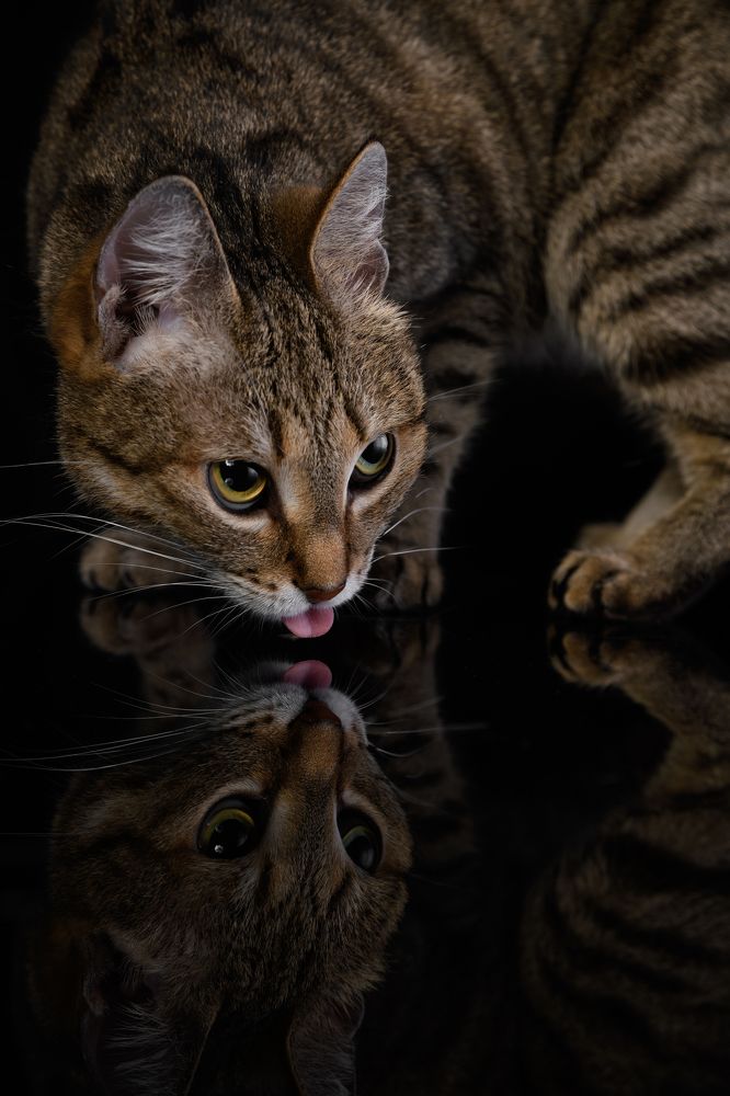 Photograph by Некрошевич Евгений