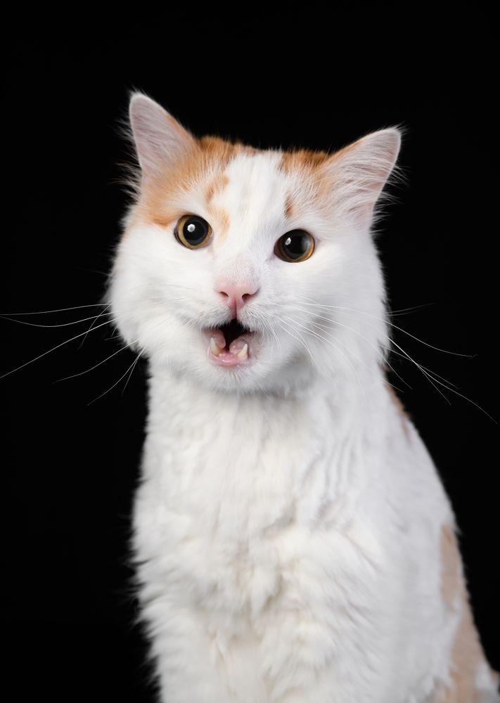 Photograph by Некрошевич Евгений