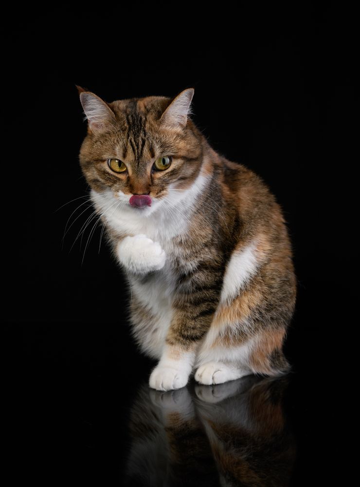 Photograph by Некрошевич Евгений