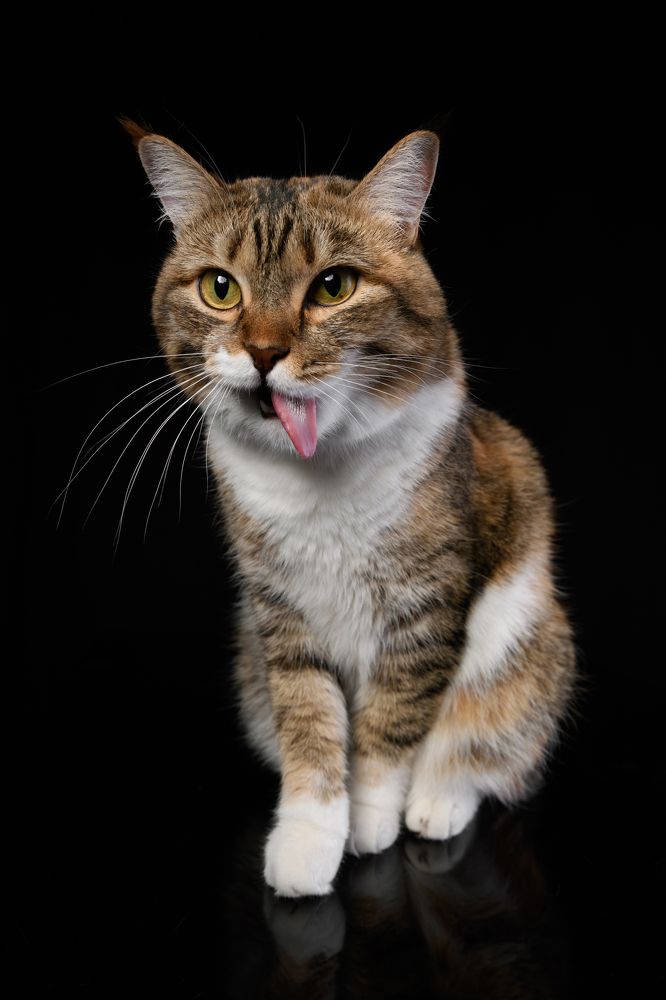 Photograph by Некрошевич Евгений