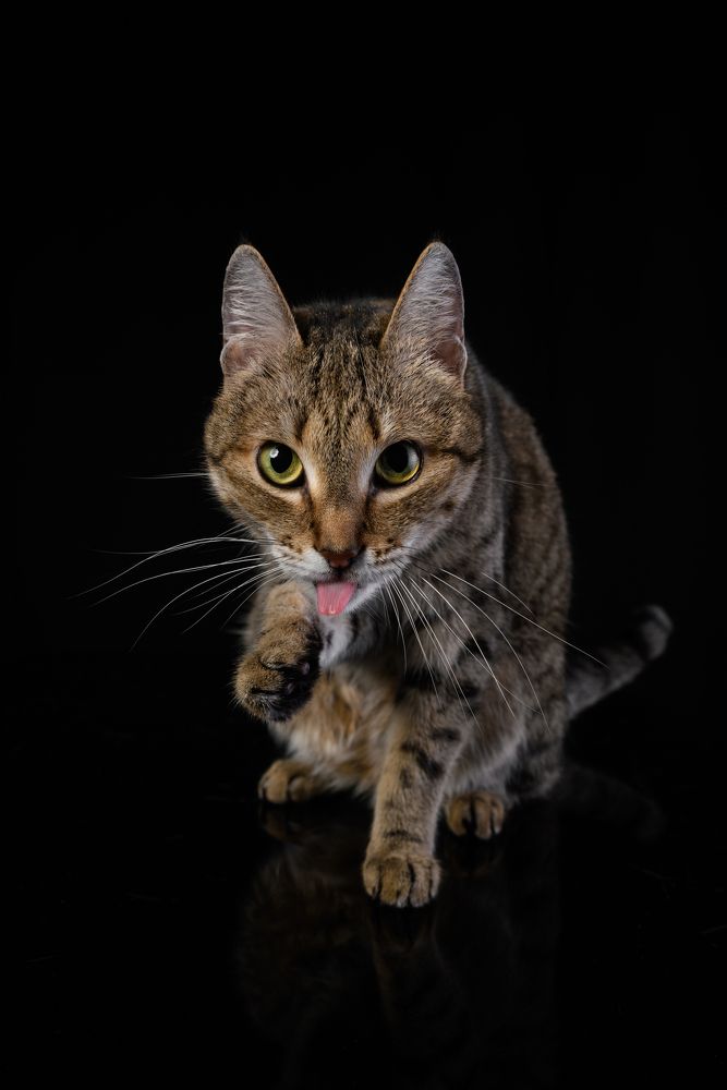 Photograph by Некрошевич Евгений