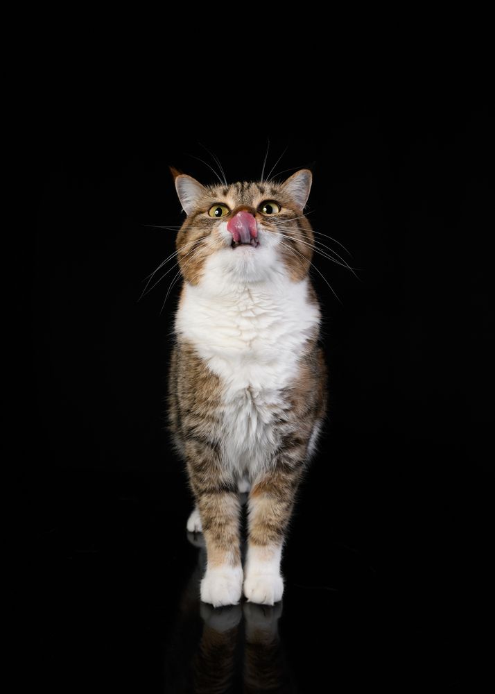 Photograph by Некрошевич Евгений