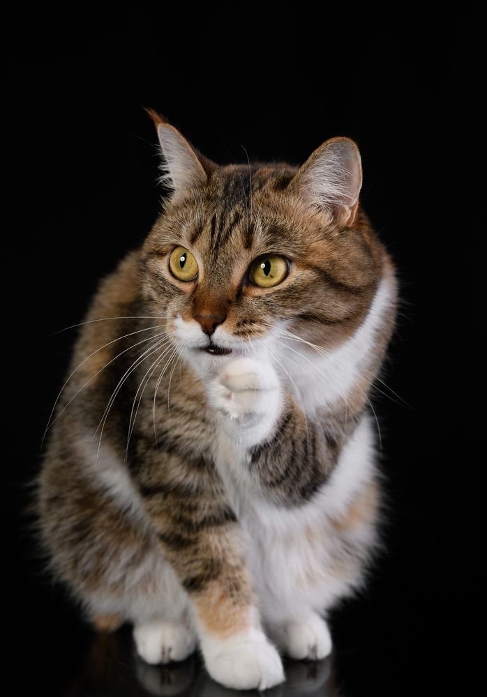 Photograph by Некрошевич Евгений