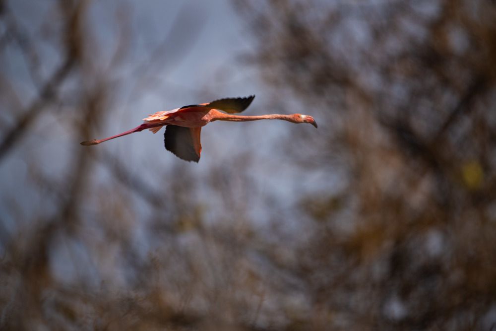 Photograph by Катя Катюнина