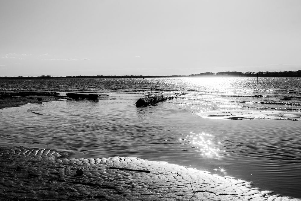 Фотография автора Дарина Фельдман