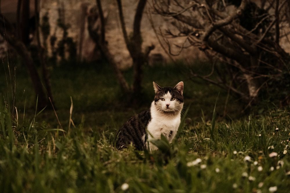 Photograph by Андрей Пушенко