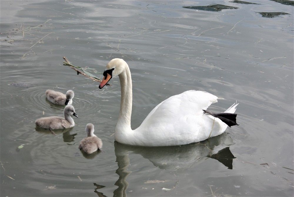 Photograph by Лилия Потравнова