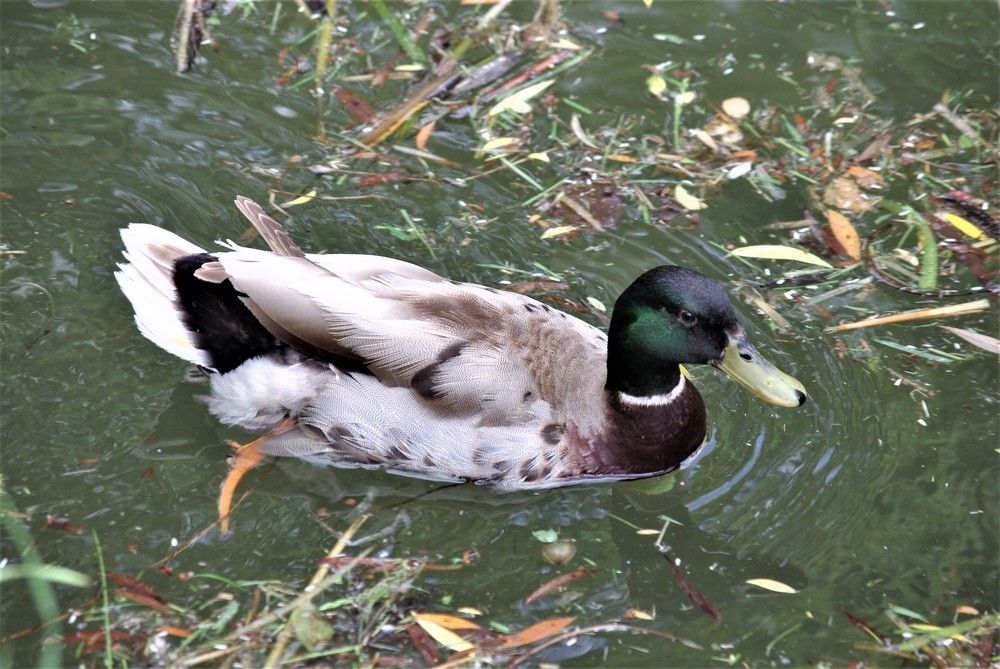 Photograph by Лилия Потравнова