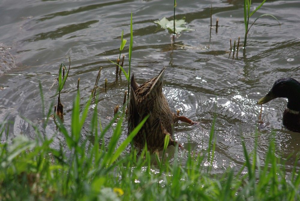 Photograph by Лилия Потравнова