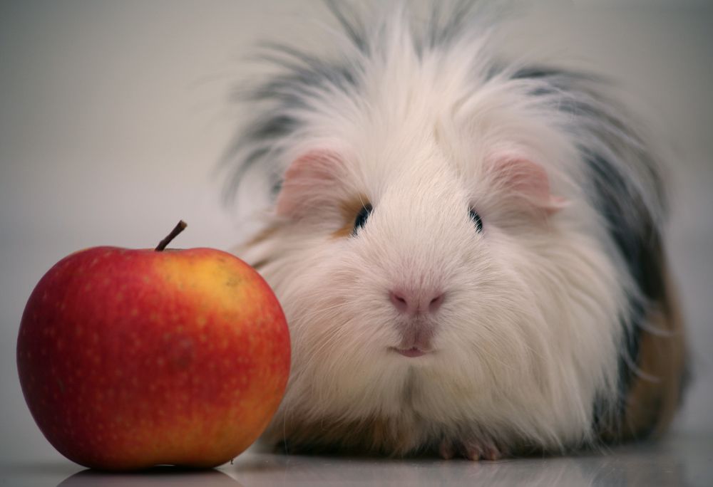 Photograph by Булатов Дмитрий