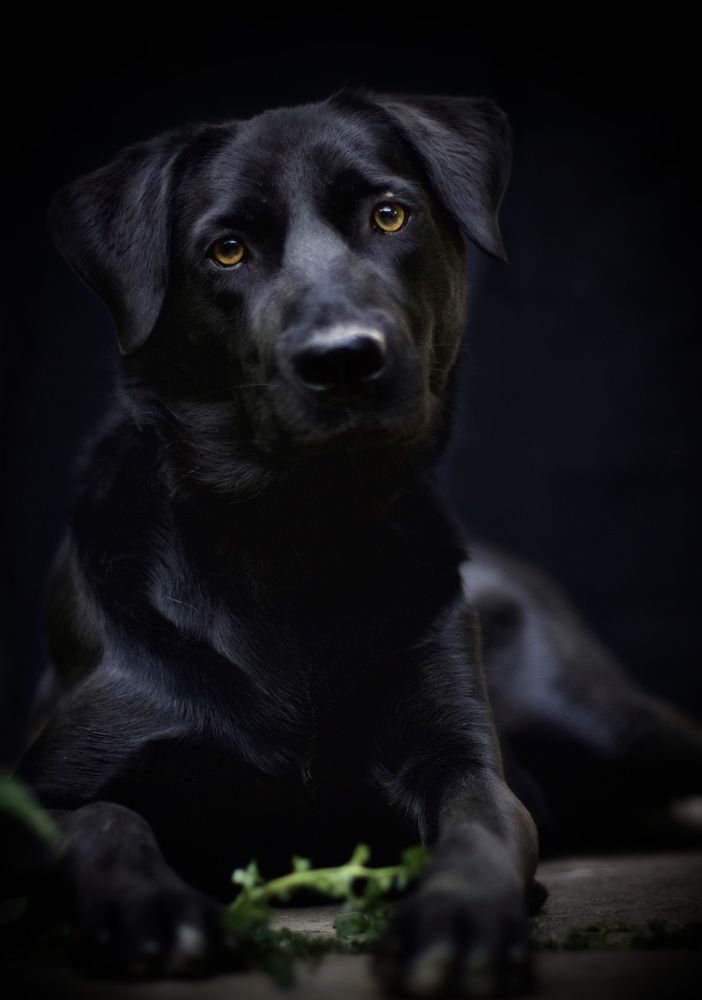 Photograph by Малика Маткарим