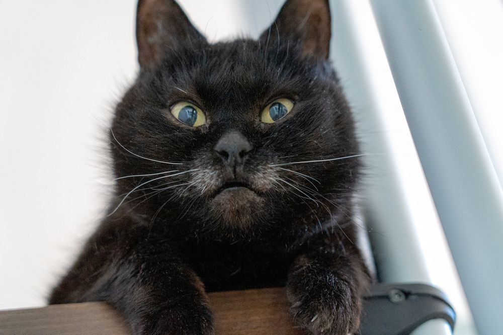 Фотография автора Нина Кулишова