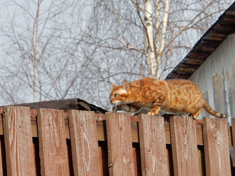 Photograph by Елена Гуляева